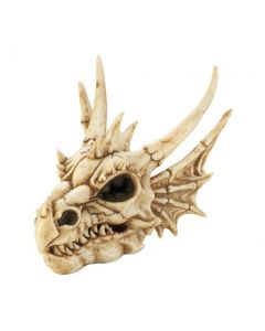 DRAGON SKULL BOX